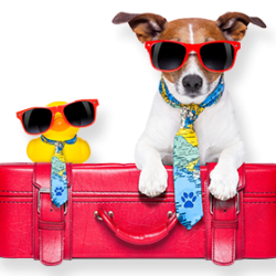 ser-img-pettravel.png